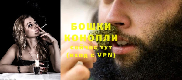 прущие грибы Костерёво