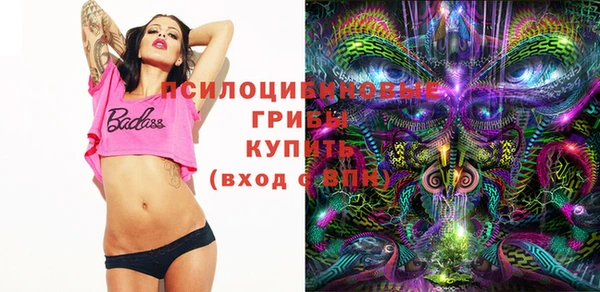 прущие грибы Костерёво