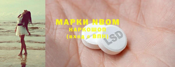 прущие грибы Костерёво
