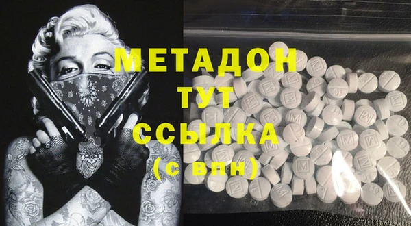 прущие грибы Костерёво