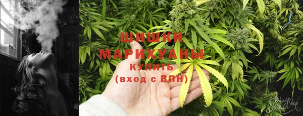 прущие грибы Костерёво