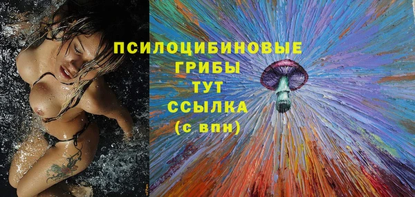 прущие грибы Костерёво