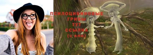 прущие грибы Костерёво
