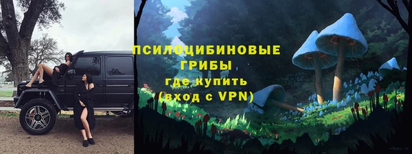 прущие грибы Костерёво